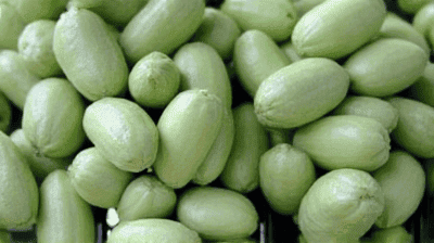 Are GMOs Safe to Eat? Debunking Common Myths with Science