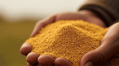 How Indigenous Crops Like Quinoa and Amaranth Are Fighting World Hunger